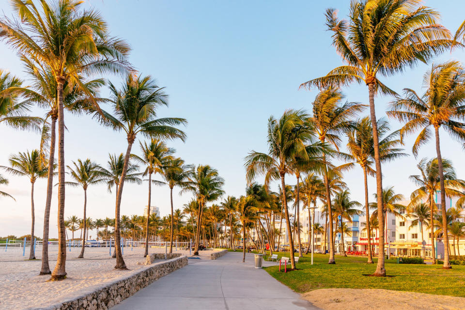 A park with sand and palm trees