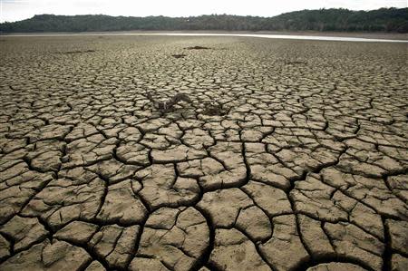 Cracks stretch across the dry bed of Lake Mendocino, a key Mendocino County reservoir, in Ukiah, California February 25, 2014. REUTERS/Noah Berger