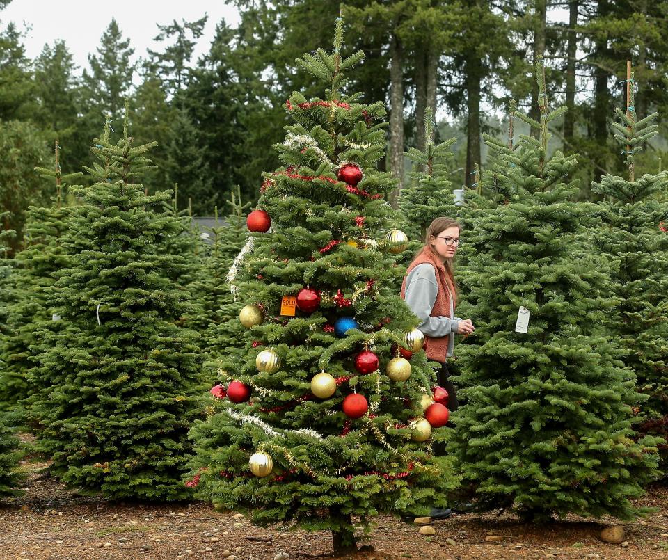 Shannon Abbe, of Bremerton, passes a decorated tree as she and her husband, Nathan, search for their perfect Christmas tree at Huberts Christmas Tree farm on Seabeck Highway on Tuesday. Huberts was open earlier this week for those wishing to reserve their trees for a later cutting date. Those who pre-selected trees also decorated them, with the winner of the best decorated winning a free tree.