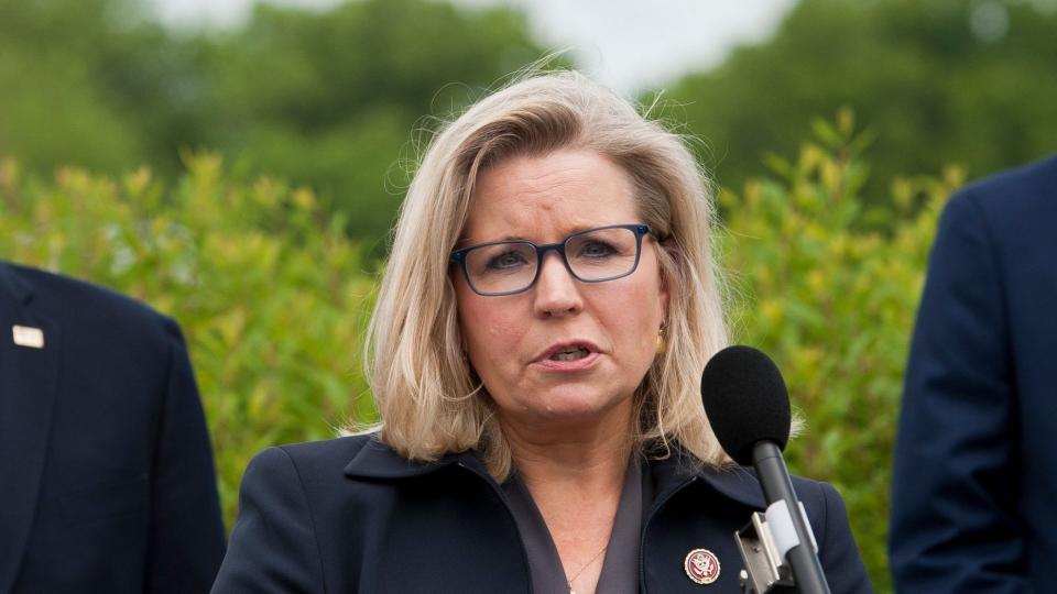 Mandatory Credit: Photo by Shutterstock (10661569r)House GOP Conference Chairwoman Liz Cheney (R-WY) offers remarks as she is joined by House Minority Leader Rep.