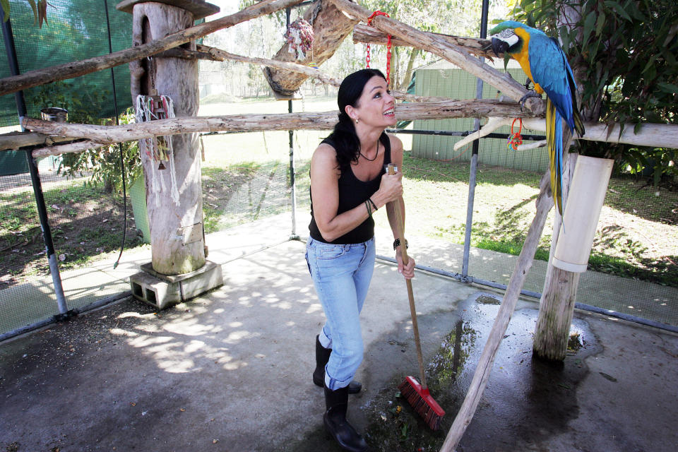 SUNSHINE COAST, AUSTRALIA - SEPTEMBER 16: A vollunteer talks to an injured bird whilst cleaning a pen at The Australian Wildlife Hospital, the largest wildlife hospital in the world, on September 16, 2008 in Beerwah on The Sunshine Coast, Australia. The facility is located near Australia Zoo and was founded in 2004 by the late Steve Irwin in memory of his mother Lynn. It will be officially launched on Steve Irwin Day, November 15, 2008, to provide a surgical, rehabilitation and educational centre funded by the Wildlife Warriors Worldwide charity alongside 2.5 million dollars of donation from the Australian Government. The hospital will be able to treat up to 10,000 animals every year, and includes a koala disease research unit to help slow the rapidly declining numbers of koalas in Australia. (Photo by Lisa Maree Williams/Getty Images)