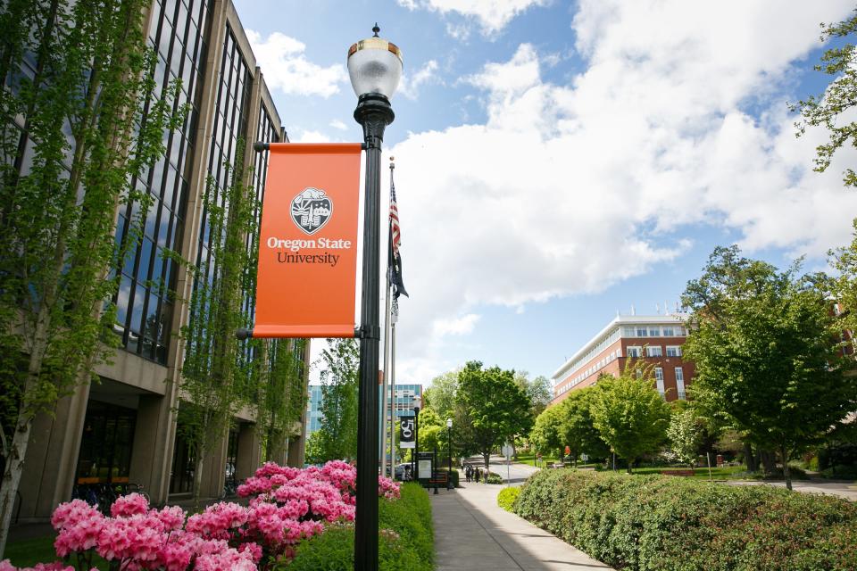 The Oregon State University campus in Corvallis in May 2018.