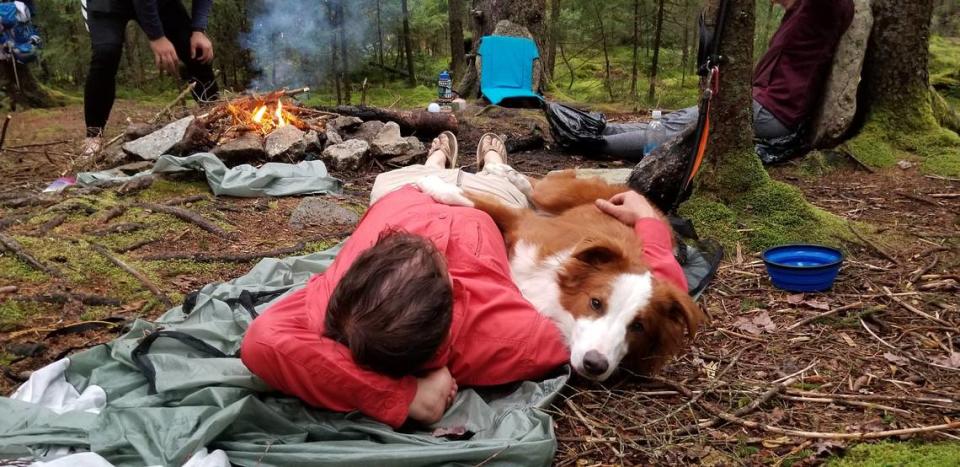 Blaze, a 4-year-old English Shepherd, was diagnosed with B cell lymphoma and was on the waitlist for a bone marrow transplant at N.C. State when the program was paused.