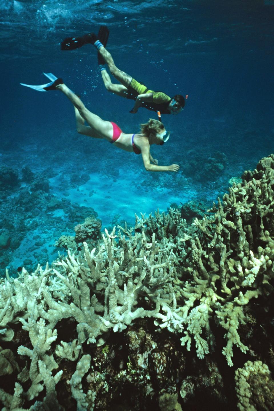 See How Australia's Great Barrier Reef Has Changed Through the Years