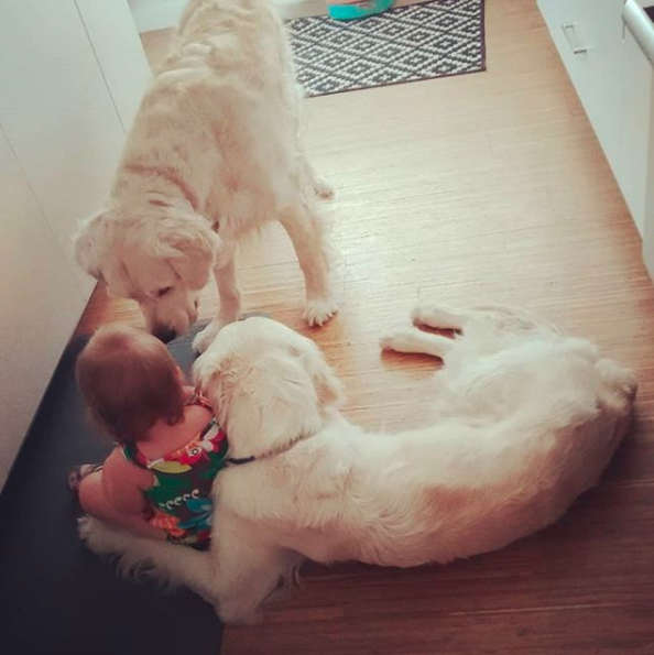 <span>‘They get along GREAT with her.’ </span>Photo: Instagram/cheesepups