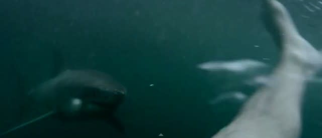 INSANE Video Of Guy Fighting Off Great White Shark In Harbour