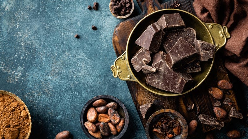 Dark chocolate is a beloved bitter-tasting food. - Image: Sea Wave (Shutterstock)