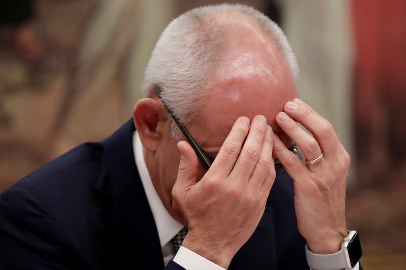 FILE PHOTO: Vale S.A. CEO Fabio Schvartsman gestures during a session of the external commission of Brumadinho at the Chamber of Deputies in Brasilia