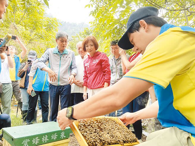 民進黨立委何欣純16日下午邀農業部代理部長陳駿季前往台中市太平區，了解蜂農受損情形。（王煌忠攝）