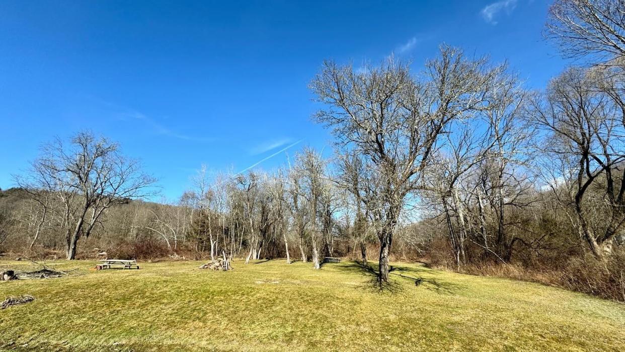 Old apple trees at Apple Grove Park in Honesdale were dead or in deteriorating condition. Honesdale Borough Public Works Department cut them down in February 2024 out of safety concerns.