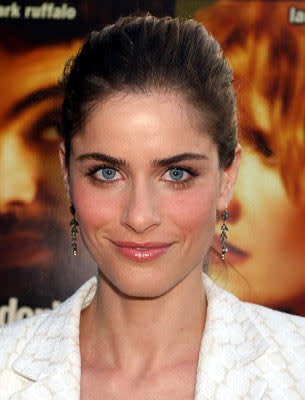 Amanda Peet at the Hollywood premiere of Warner Independent Pictures' We Don't Live Here Anymore