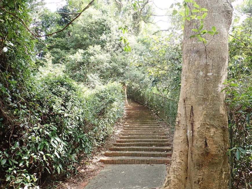 新竹十二寮登山步道