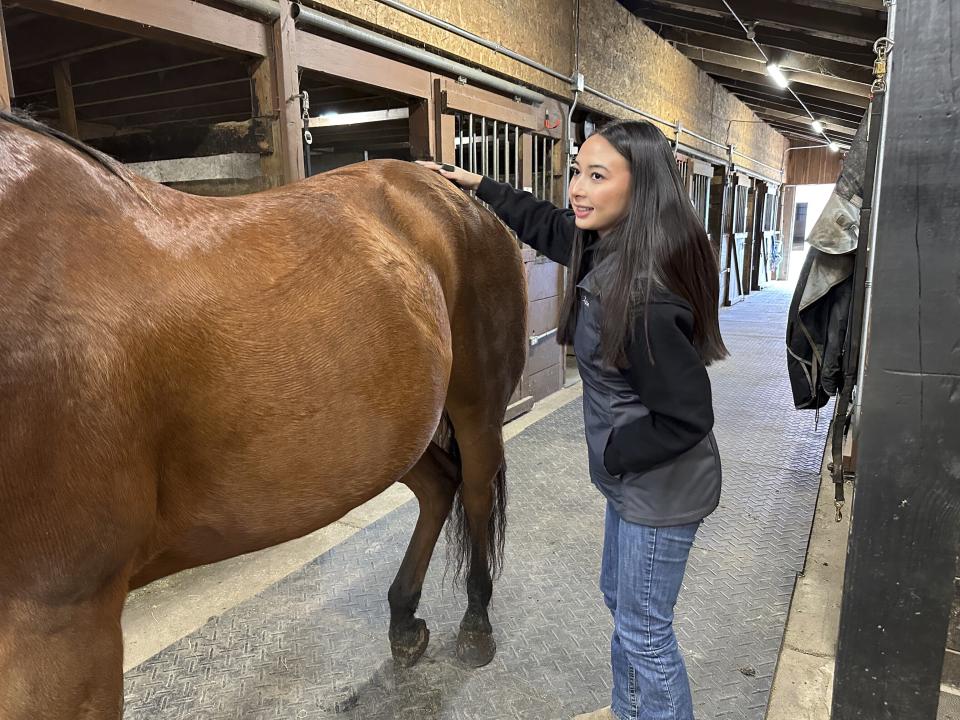 Kylie Ossege uses a brush to groom her horse, Blaze, at a boarding facility Saturday, Nov. 11, 2023, in Mayfield Township, Mich. Ossege was severely injured in a 2021 mass shooting at Oxford High School and says spending time with Blaze provides her with a measure of comfort. (AP Photo/Mike Householder)