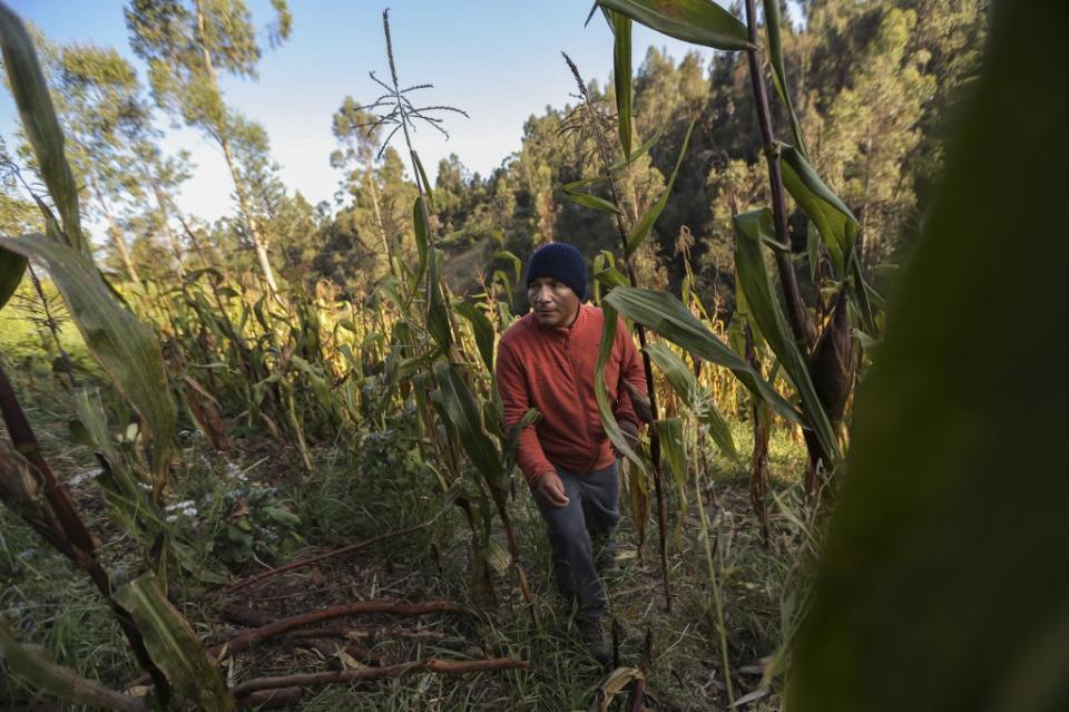 El campesino y guía turístico de Perú, Saúl Luciano Lliuya, demanda a la empresa alemana RWE por el calentamiento global.