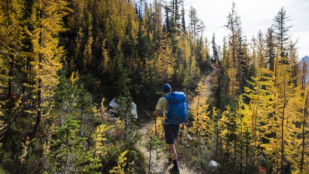  Hiking along the pacific crest trail in the Appalachian mountains. 