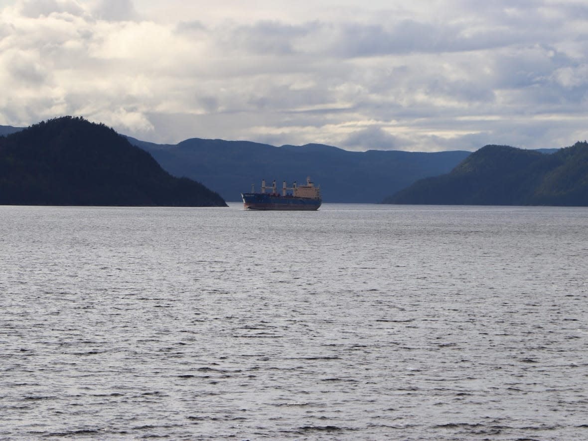 A ship travels through the Saguenay Fjord, close to Baie-Sainte-Marguerite — a spot frequented by belugas.   (Kim Garritty/CBC - image credit)