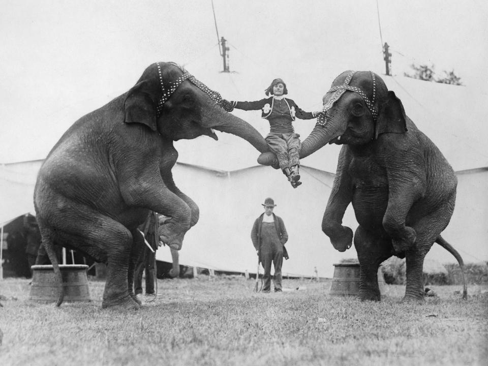 1920s circus elephant