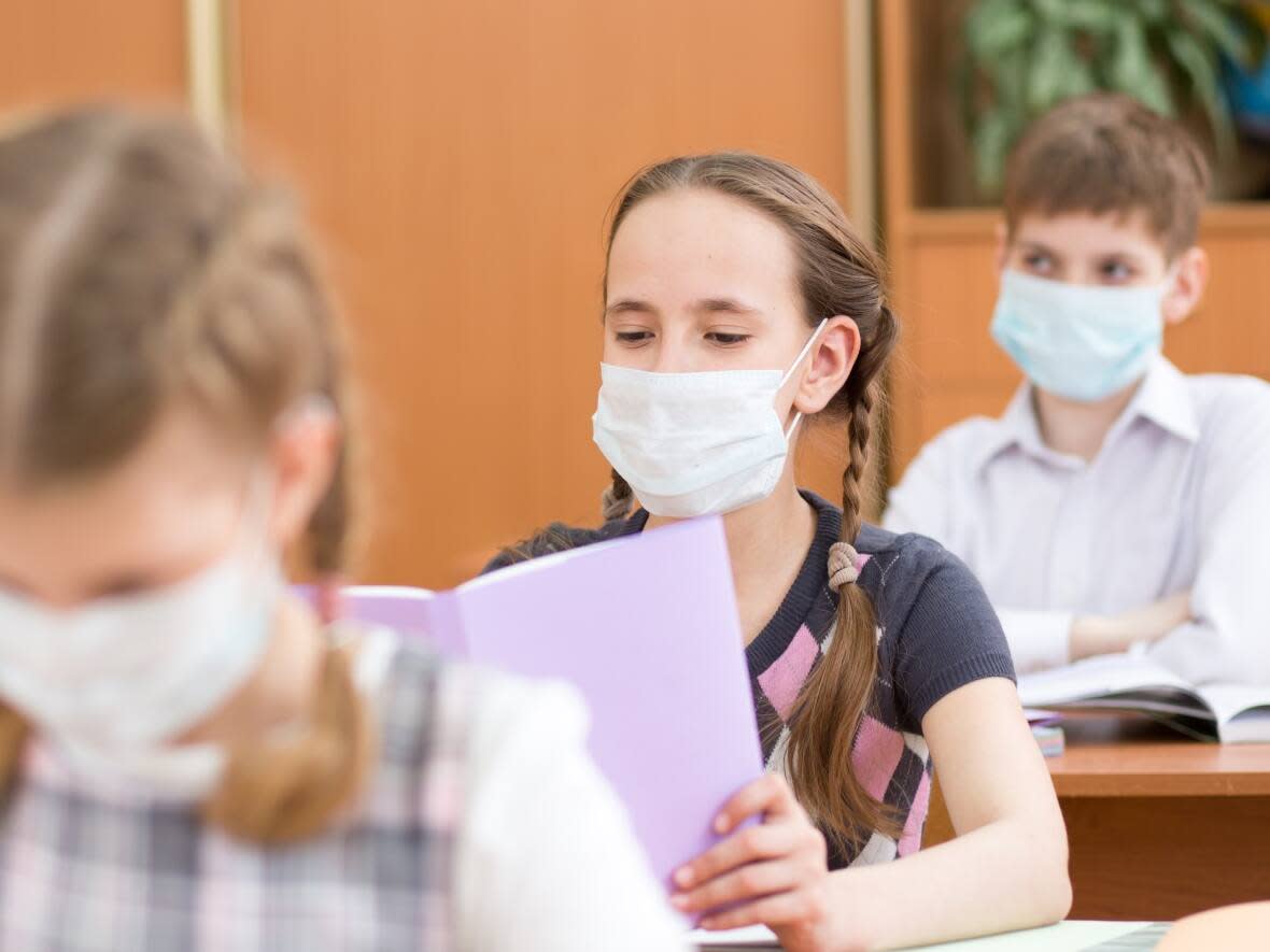 The Nova Scotia government has yet to say whether masks will be required in schools when classes resume next month. (Oksana Kuzmina/Adobe Stock - image credit)