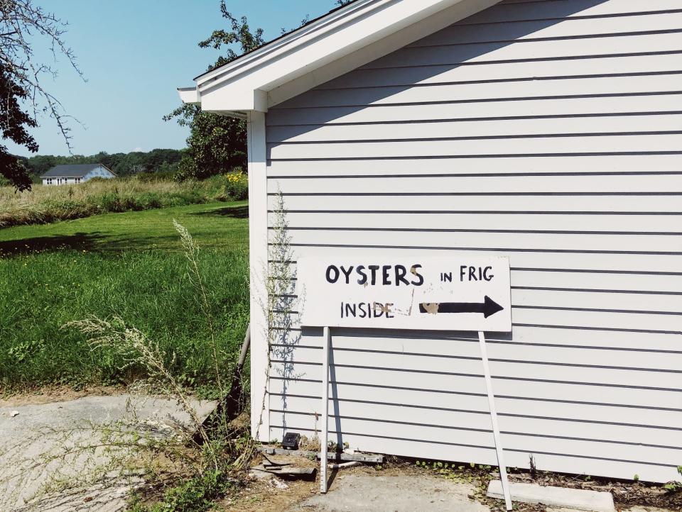 An outdoor shot of a white house with a sign that reads "oysters in frig inside"
