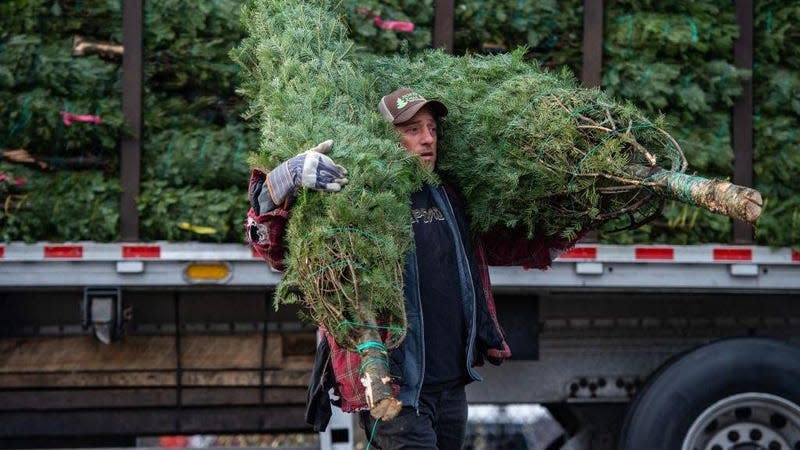 Workers unload a truck with 1,400 Christmas trees at North Pole Xmas Trees in Nashua, New Hampshire on November 17, 2022.