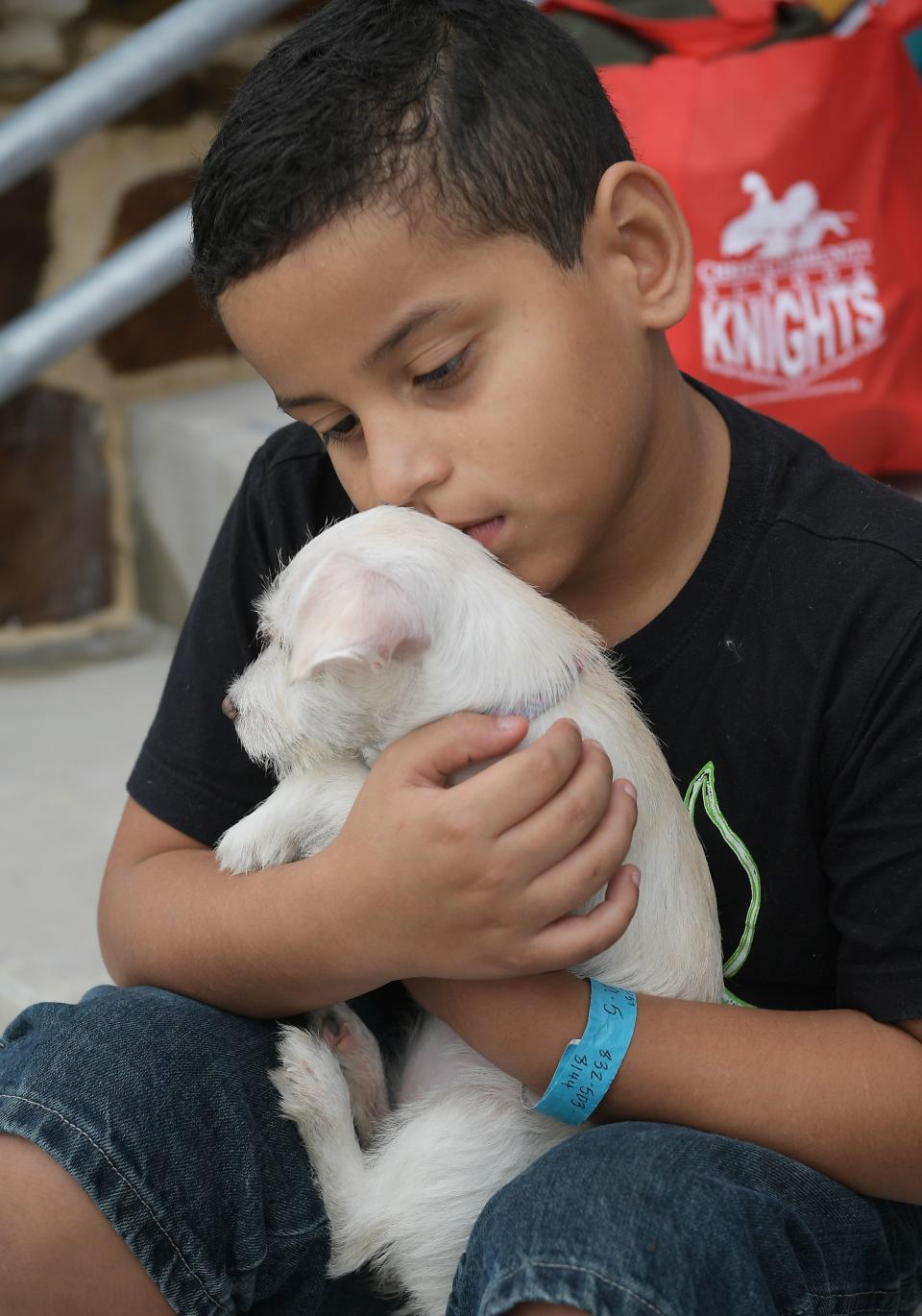 <p>Joshua Lopez, 9, holds puppy Cali outside of College Park High School which was set up as a temporary shelter for Hurricane Harvey evacuaees in The Woodlands, Texas on August 30, 2017. (Photo: Mandel Ngan/AFP/Getty Images) </p>