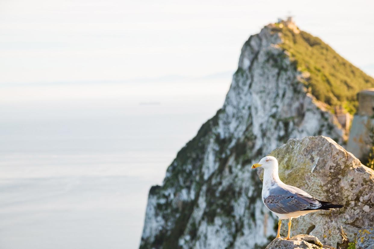 It's heaven for birdwatchers – and they crown their beauty queens in caves - ingusk - Fotolia