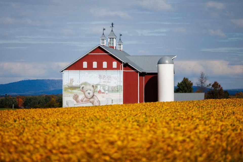 The former home of Boyd's Bear Country Barn is seen, Wednesday, Oct. 19, 2023, in Cumberland Township.