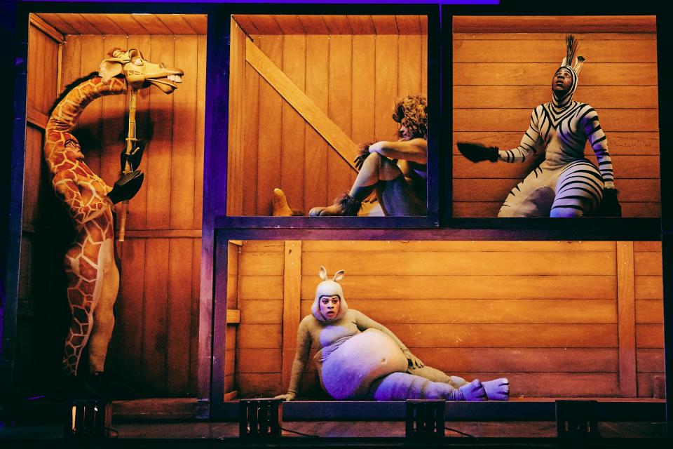 Melman the giraffe, Alex the lion, Marty the Zebra, and Gloria the hippo will bound out of the zoo and onto the stage of the Palace Theatre on Wednesday.