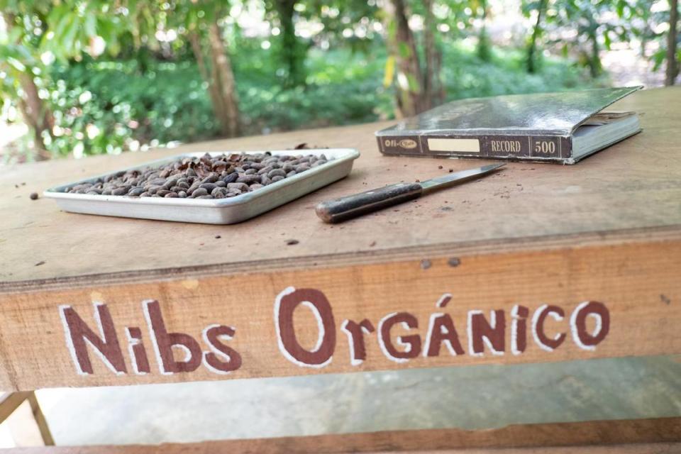 Cocao nibs that will be used to make KU’L Chocolate at the KU’L Chocolate factory in Bellingham, Wash.