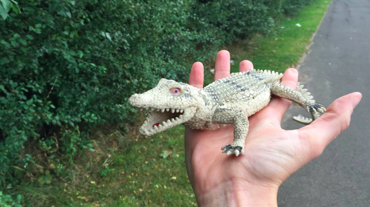 No danger: This crocodile was actually just a plastic toy (PA)