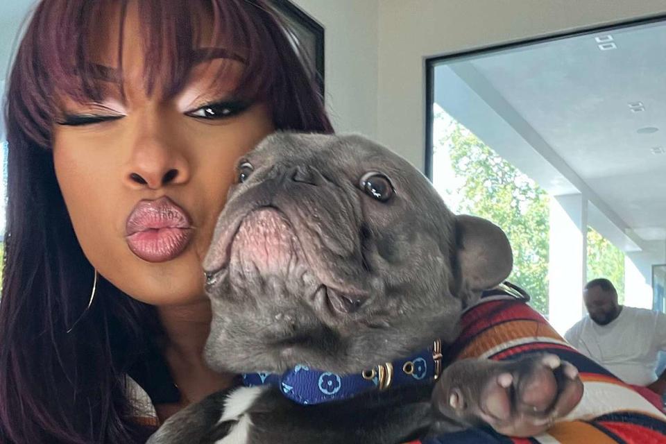<p>Foe Thee Frenchie/ Instagram</p> Megan Thee Stallion and her dog Foe
