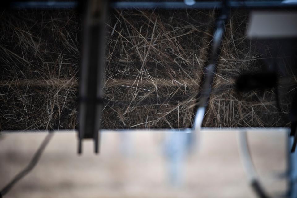 A solar farm in Brownsville, Tenn., harnesses the sun's energy.