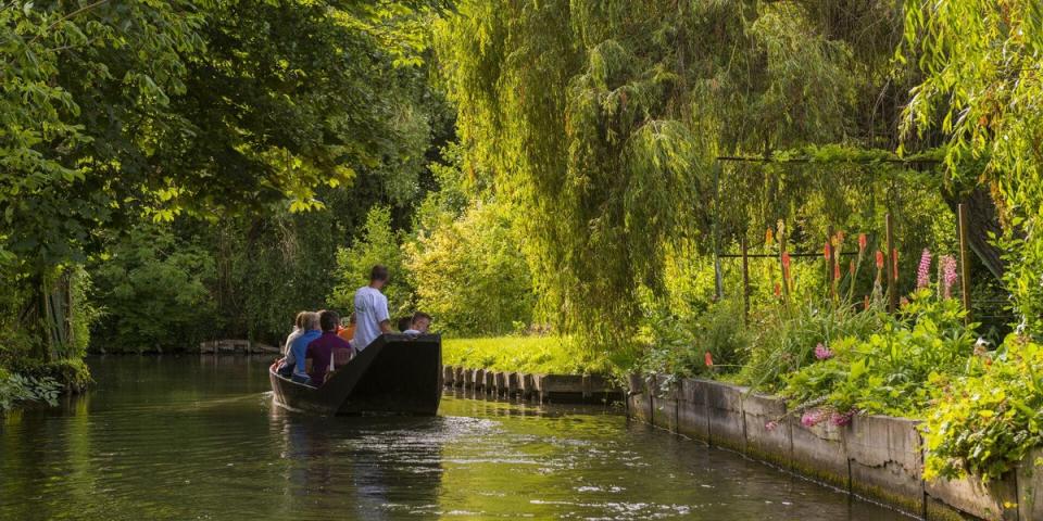 Les Hortillonages, Amiens’ floating gardens, are its star attraction (Hauts-de-France tourism)