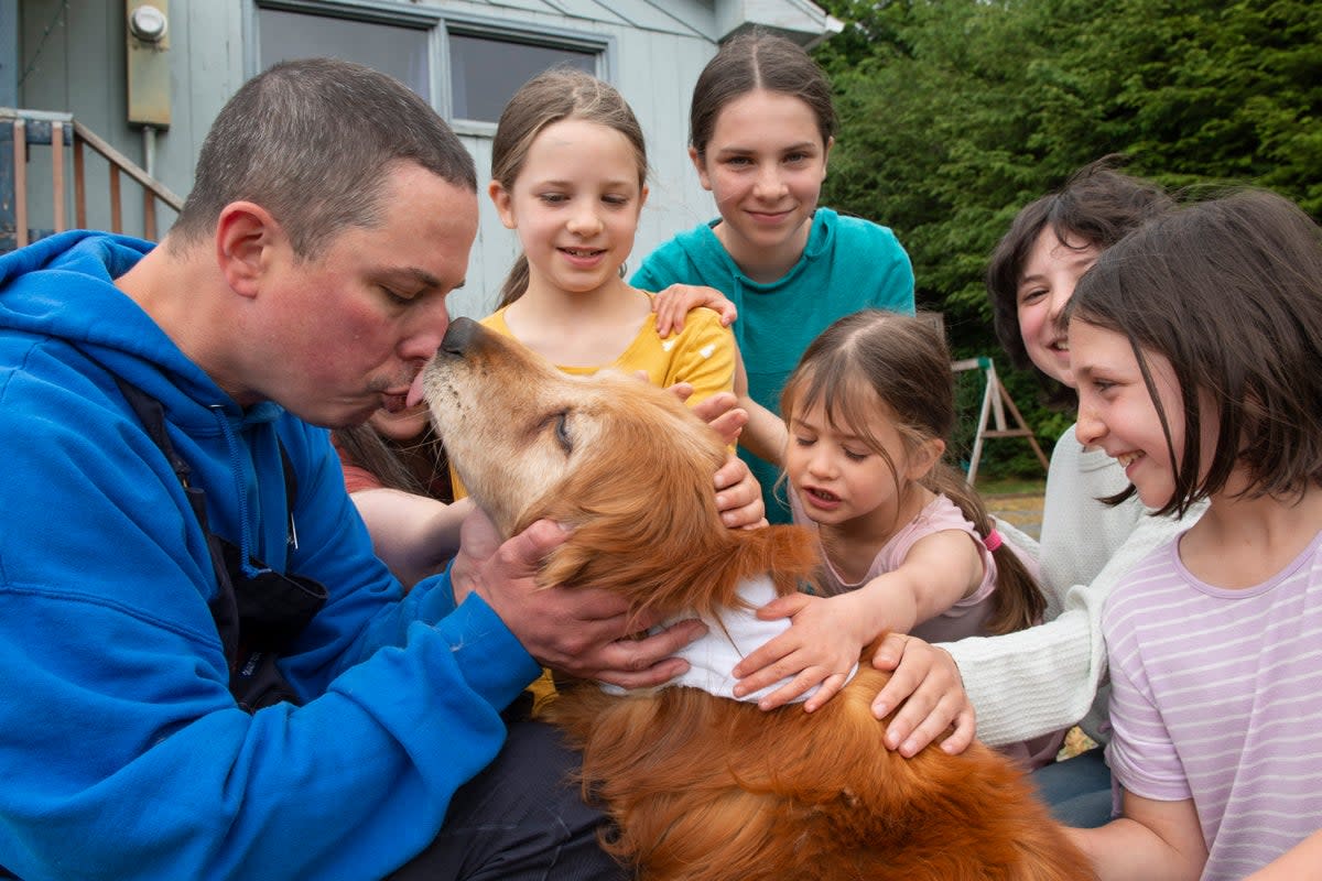 ALASKA-PERRITA PERDIDA (AP)