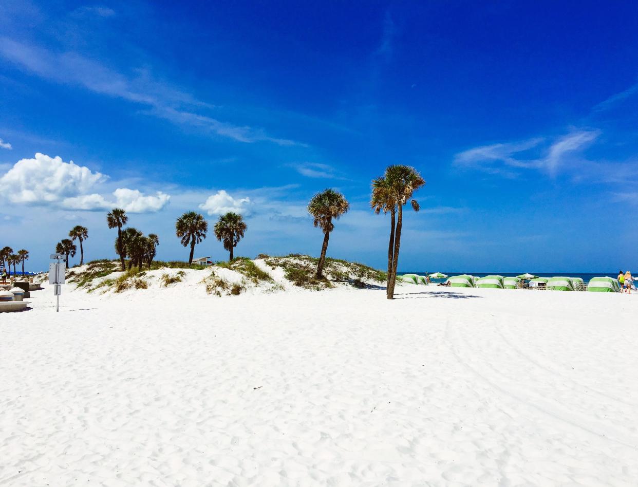 Palmen am Clearwater Beach, Tampa, Florida - Copyright: Ixefra/Getty Images