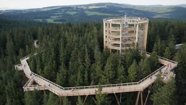 A rendering of the Tree Walk that is scheduled to be built by 2022 at the Cape Smokey resort on Cape Breton Island. An elevated footpath will allow visitors to walk through the tree canopy. A seven-story lookout tower is also in the works.