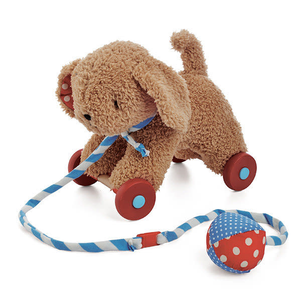 <a href="http://www.cpsc.gov/en/Recalls/2015/Bunnies-by-the-Bay-Recalls-Pull-Toys/" target="_blank">Items recalled</a>: Bunnies by the Bay recalled its Bud and Skipit Wheely Cute Pull Toys because the hub caps on the wheels can break off and pose a choking hazard.  Reason: Choking hazard