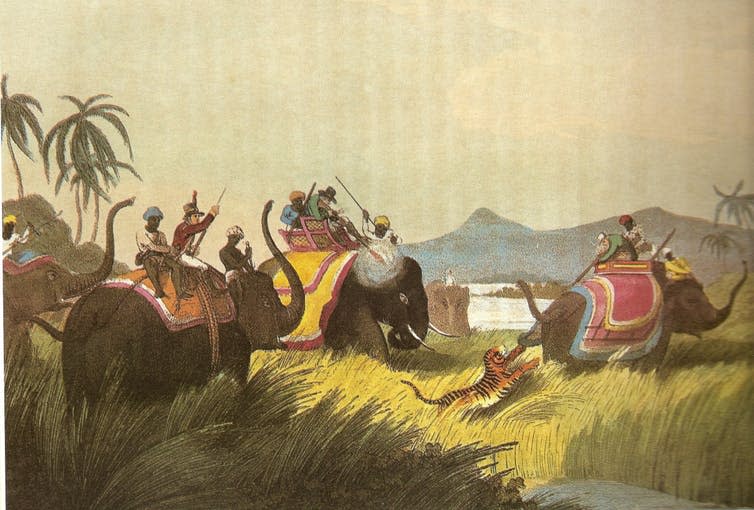 <span class="caption">Hunting for tigers, Thomas Williamson & Samuel Howitt, 1808.</span> <span class="attribution"><a class="link " href="https://en.wikipedia.org/wiki/Tiger_hunting#/media/File:ElephantbackTigerHunt.jpg" rel="nofollow noopener" target="_blank" data-ylk="slk:Wikimedia Commons;elm:context_link;itc:0;sec:content-canvas">Wikimedia Commons</a></span>