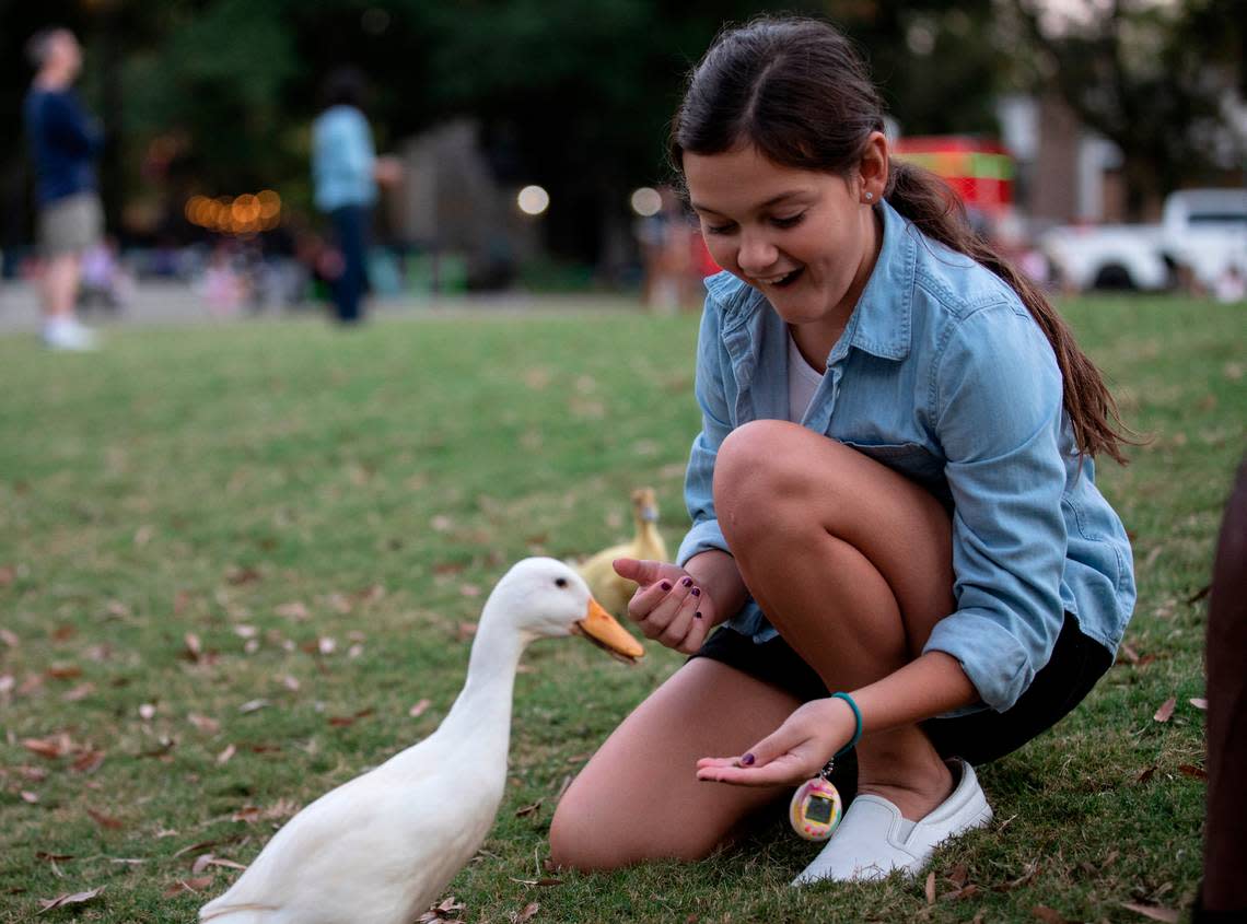 Ella Decker, 11, reacts as she greets LaQuisha, a Bantam Silkie duck, during a jazz concert at Moore Square on Thursday, Oct. 13, 2022, in Raleigh, N.C.