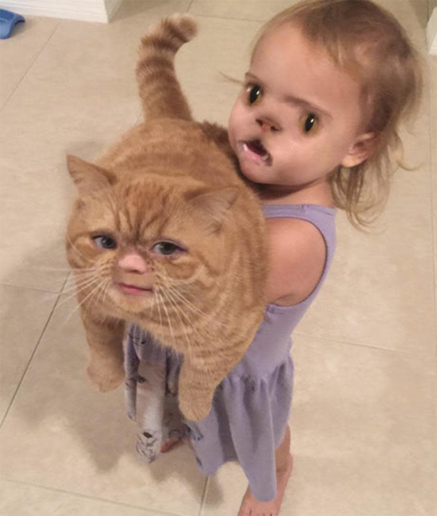 The Best Face Swaps Of All Time