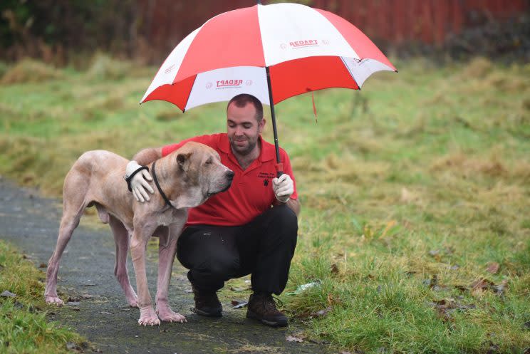 MIchael Waugh of the Pennine Pen Animal Rescue says Kenny will make a great pet for somebody (Mercury Press and Media)