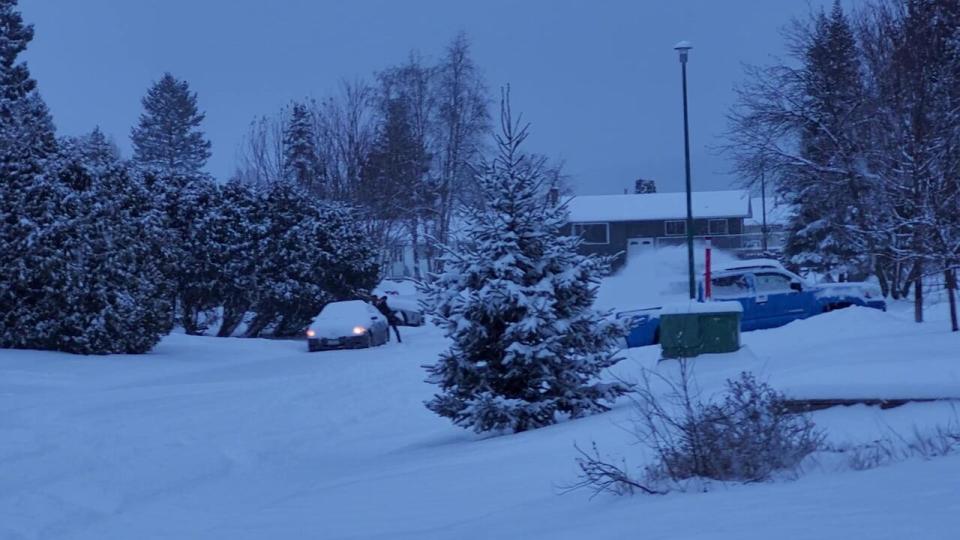 Drivers in Prince George clear their cars and driveways as an expected 10 cm of snow falls on the city on Jan. 9, 2024.