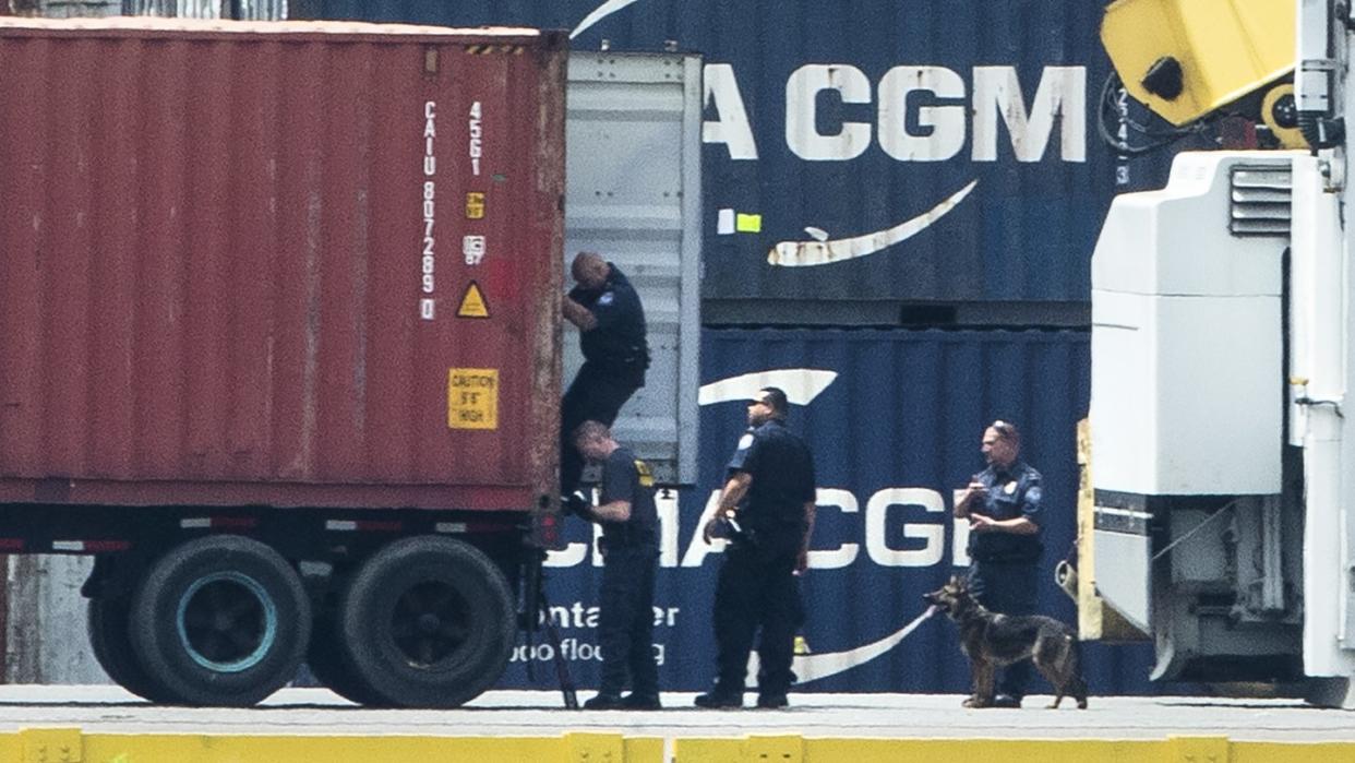 Mit einem Hund inspizieren Polizisten einen Container im Hafen von Philadelphia. Rund 15 Tonnen Kokain im Wert von mehr als einer Milliarde US-Dollar haben die Ermittler sichergestellt. Foto: Matt Rourke/AP