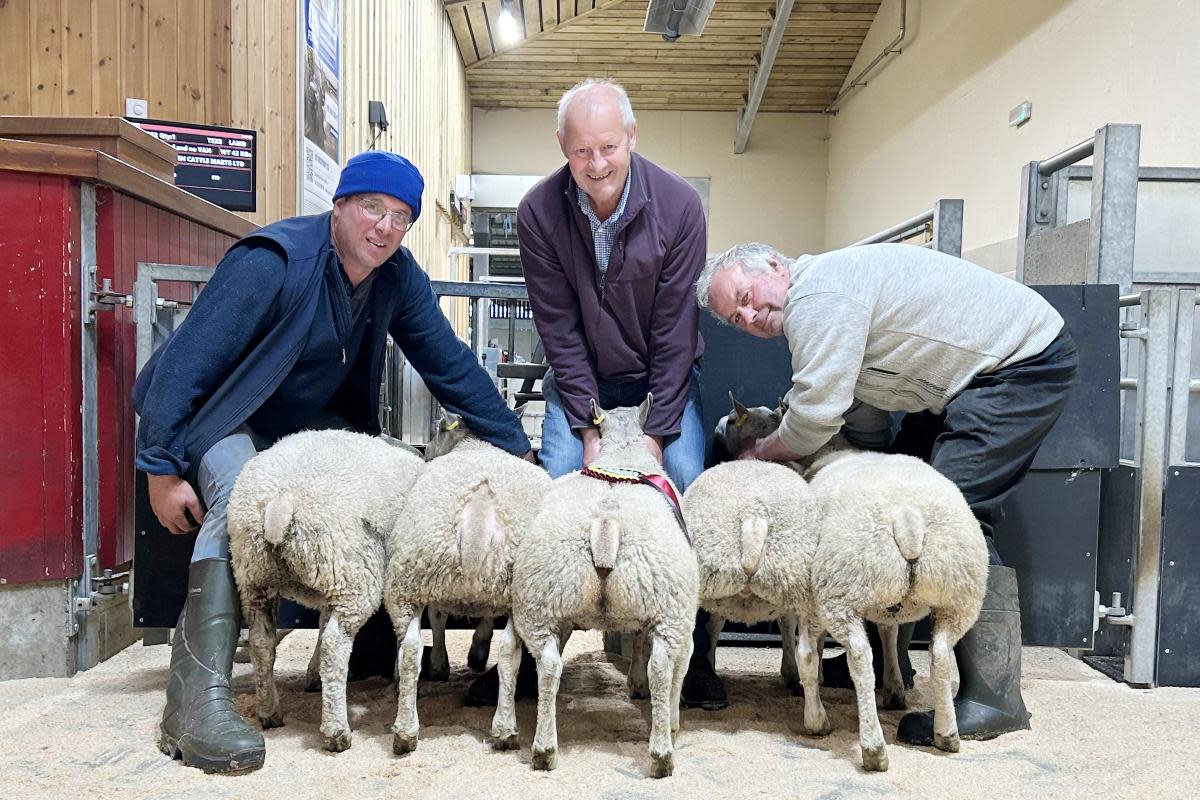 Dick Ellis, right, with the family’s July prime lamb champions, joined by judge Mick Etherington, centre, and assisted by third prize winner Andrew Brown.Dick Ellis, right, with the family’s July prime lamb champions, joined by judge Mick <i>(Image: CCM Auctions)</i>