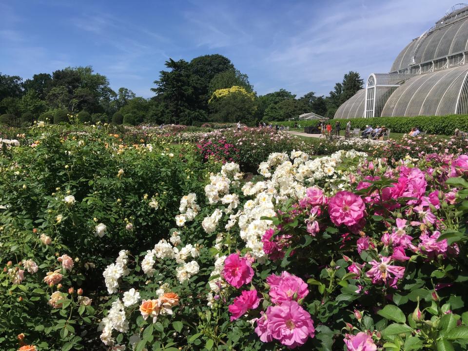 Summer at Kew Gardensistock