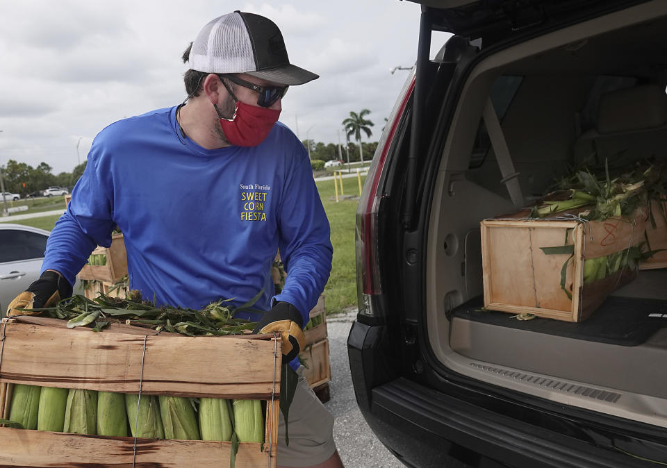 Ethan Basore loads sweet corn into a vehicle at the South Florida Fairgrounds in West Palm Beach, Sunday, April 26, 2020. The 20th annual Sweet Corn Fiesta was a drive-through event this year because of the COVID-19 shutdowns in South Florida. (Joe Cavaretta/South Florida Sun-Sentinel via AP)