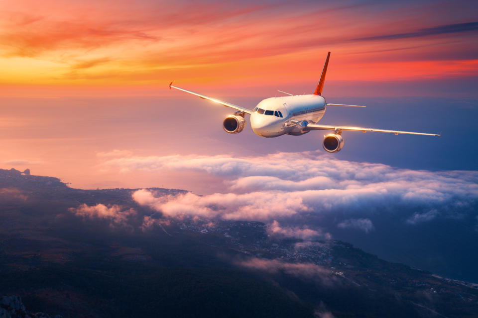 La pedida ocurrió en pleno vuelo. Foto: den-belitsky / iStock