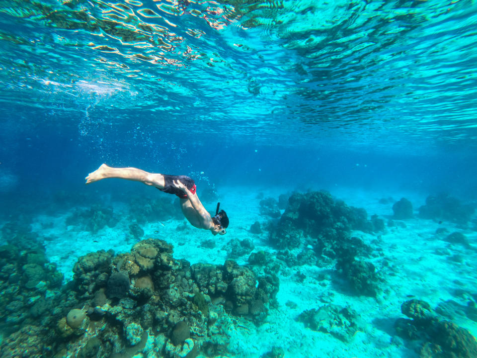 A child snorkelling in a reef off the coast of Cuba