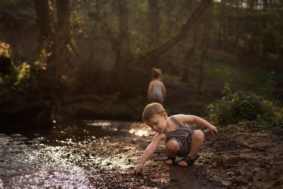 National Trust handbook 2019 photo competition