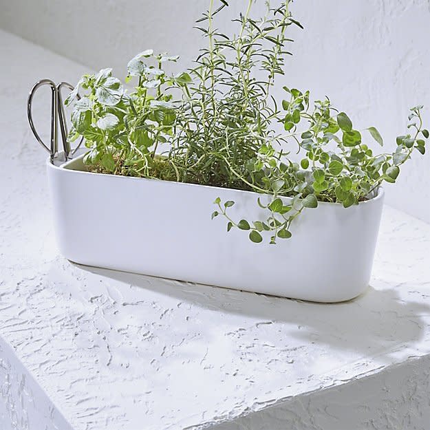 Herb planter with scissors